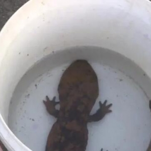 ��ɽ����߅��~��឵��@�N�������s�o���Ԓ���o�˝O�����T