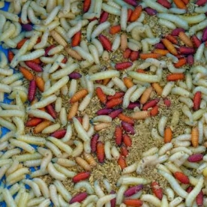 �˂���ʲôϲ�g��~���������ָ�ϣ�