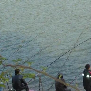 ˮ����~������һ��ʹ���ָͺͺ���