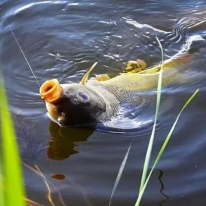 ����Ұ����~������������܊�����������ɣ���׌��M�d���w