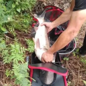 �����@8�l��~С���R����~�����y����e���ֶ��w������˽�