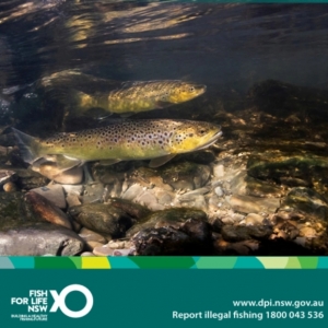 �Ĵ����������S����~ô��