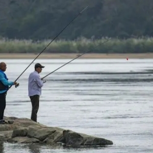 ϲ�g��~��������ʲô�ӵ�����