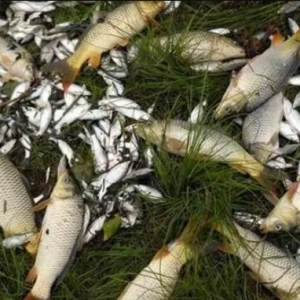 ��~���ɣ�ʲô�ӵ��D�ϸ����~���gӭ����ԓҪ�M���@ЩҪ�c