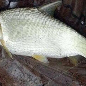 �Sβ�~����������^�ͣ�ע���@���c��׌���p�ɽ�Q