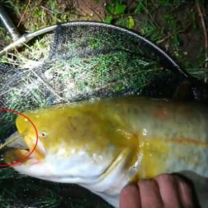 �\Մ������~����⣬����Ŀ���~���λ���x�ʲ��к��ի@