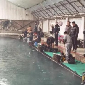 ឈ�(ch��ng)ʹ���~���I�aͨ�^��~��ʽ�M(j��n)��ـ�� 15�˴�ឬF(xi��n)��(ch��ng)��ץ