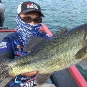 ���Cʡ��40����~�ۺ��߽��܇�(gu��)��һ��(j��)������Ӗ(x��n)