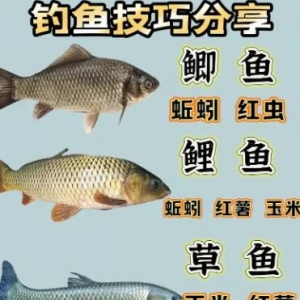 Ұ��^��������˵Ď׼����飬�ٻ��X���M(f��i)��߀����~��