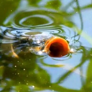 ��~����ȫ���������͡����͡��_ិ��c���Uិ�Ԕ��