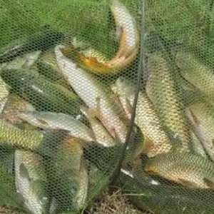 ��~���ɣ����N�~�����Ժͽ���ិ�����~�˱ؿ�