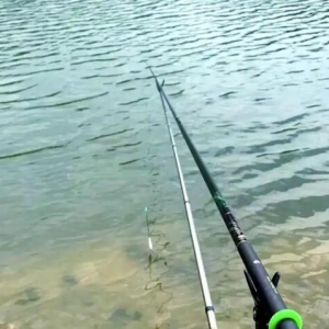 �����ֵ����֣�ȫ��������~���ɵČ���ָ��