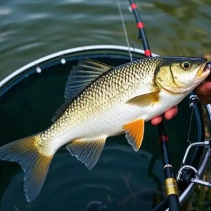 ����Ұ��a�~����һ݅���������У��W����~឵���ܛ