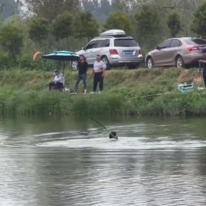 ����~�С�឵����~������ˮ���ȷָ���Ҳ�Q����������(d��ng)���ˣ����X��������