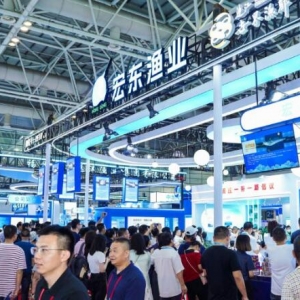 ��ʮ�ߌø��ݝO������Ļ��19.6�f�˴δ򿨡����rʢ�硱