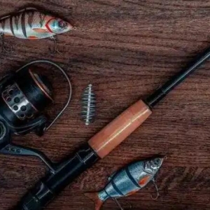 2026 �Ї������ݣ����H�O�I���[�����O�߼�����Ķ�������