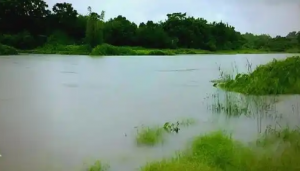 �������u����ΰ�����~�S��r�C�c����