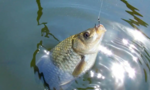 С�^���������~��5��Ҫ�E�����Ǵ�ţ����������Ҳ��������