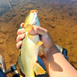 FISHING KOREA-2026�n���נ��O��ើ�չ��