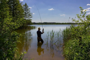 ��~����Ҫע�⣡5��1����Ҏ���_5�l�t��������P5�fԪ