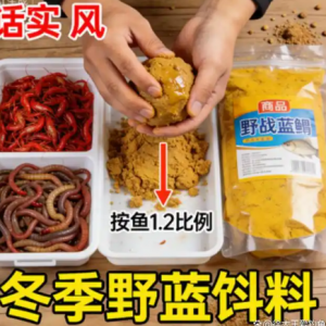 ����Ұ��a���A���{� + ���Dץ�� 6 �c�����~�ʷ�������܊