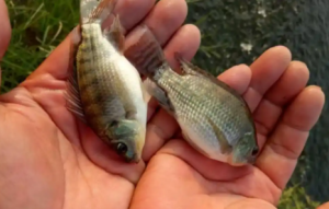 ��~Ȧ�İ˴�Ҏ�أ�������ឣ����o��Ȼ�c���C�Ĵ��֮��