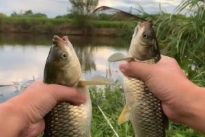 ˮ�����Ͳ�����~������3�N���Uិ���Խ����ˮ�~Խ��